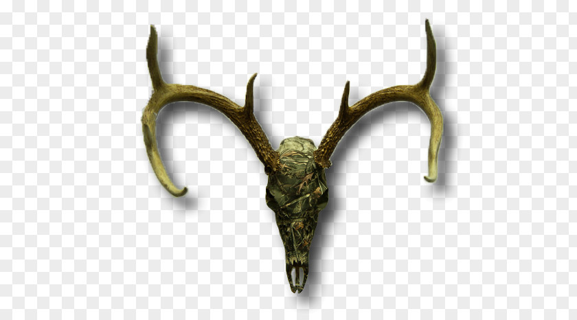 Deer Skull Elk Trophy Hunting PNG