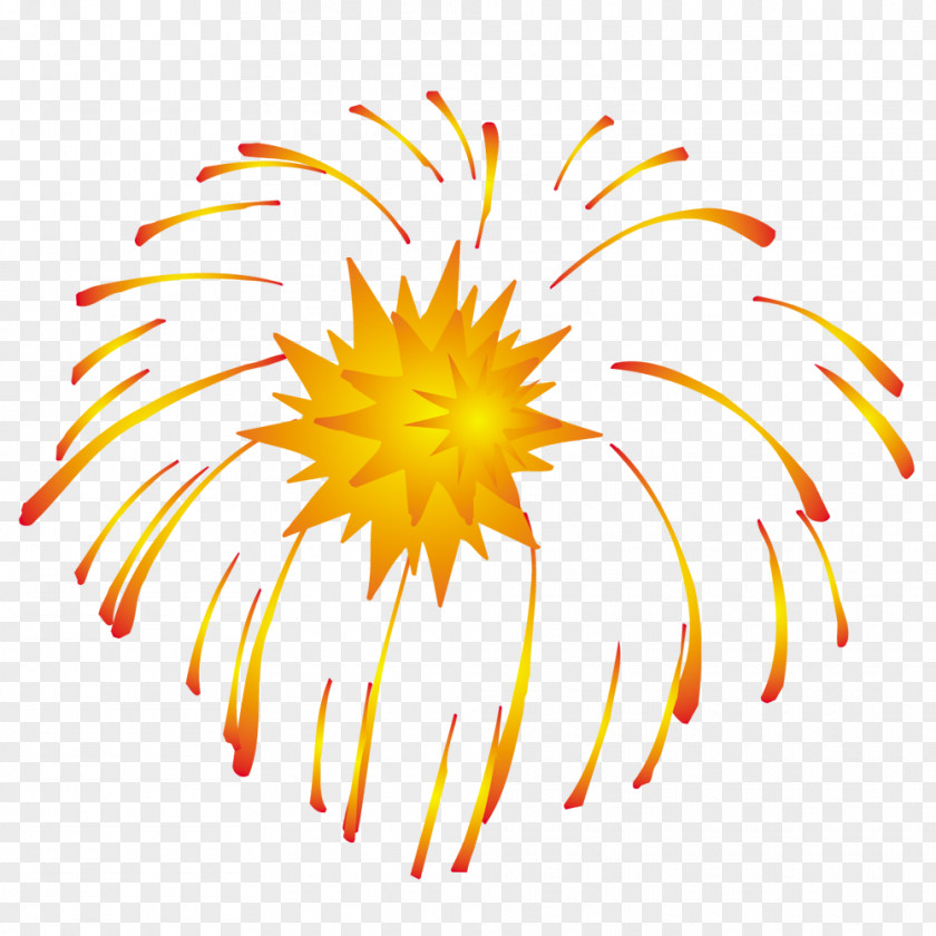 Fireworks Vector Graphics Illustration Image Stock Photography PNG