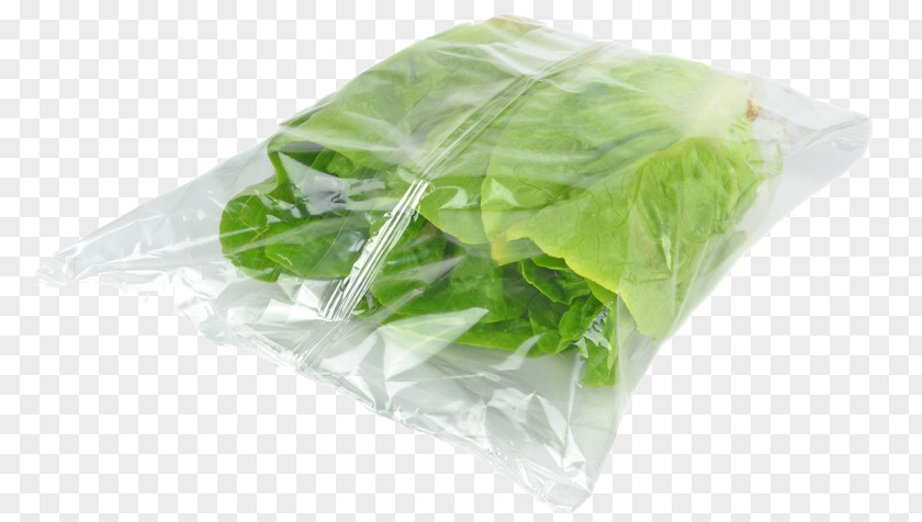 Food Packaging Plastic Bags Bag And Labeling Salad Biodegradable PNG
