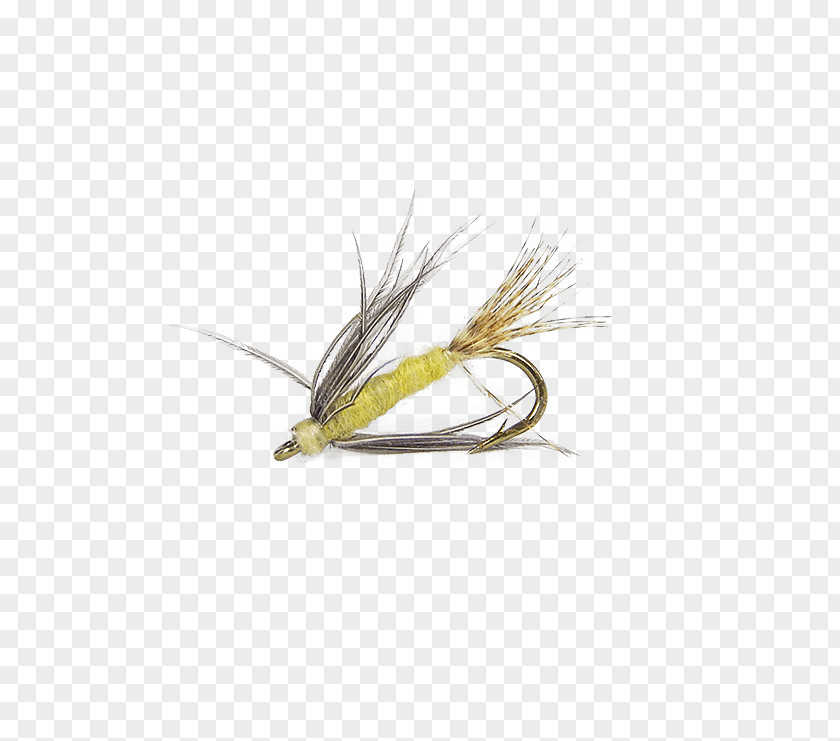 Hackle Artificial Fly Hackles Insect Yellow PNG