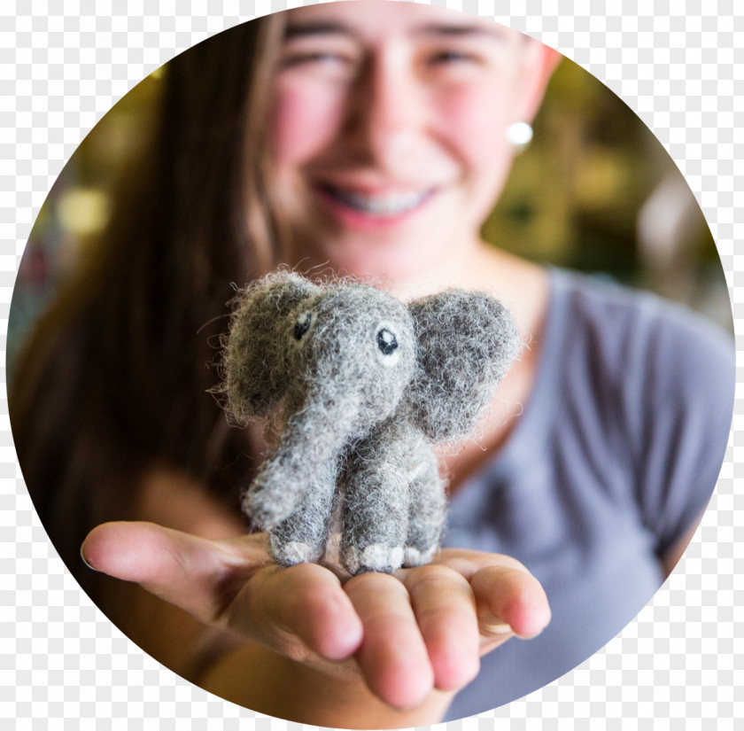 Koala 4-H Summer Camp Animal Child PNG