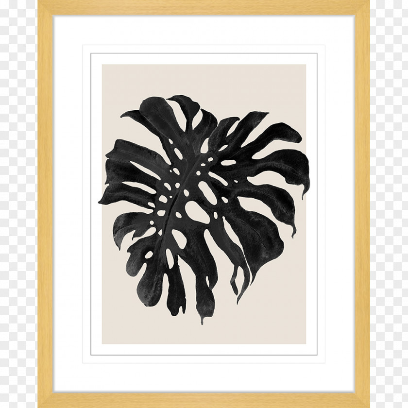 Monstera Inuit Art Photography Artist Watercolor Painting PNG
