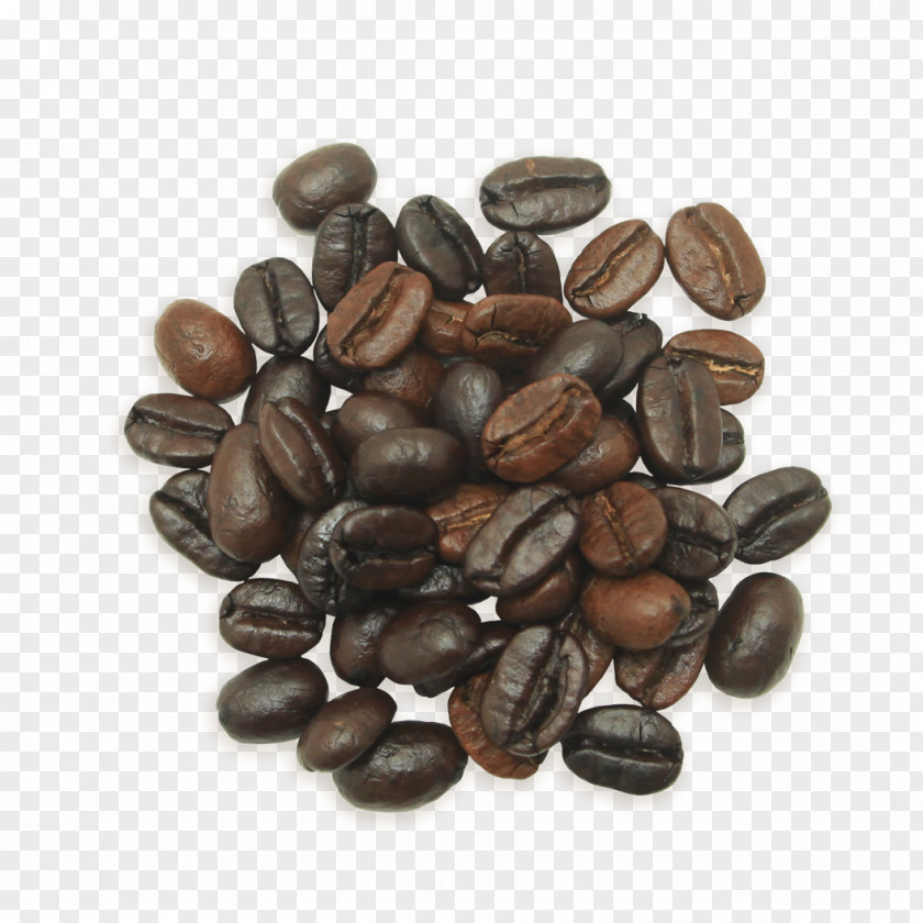 Roasted Seeds And Nuts Jamaican Blue Mountain Coffee Cafe Cocoa Bean Espresso PNG