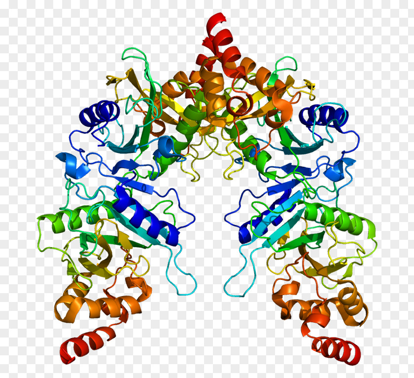 Wechat Expression 19 0 1 SUFU Protein GLI3 Alanine Transaminase Hedgehog Signaling Pathway PNG