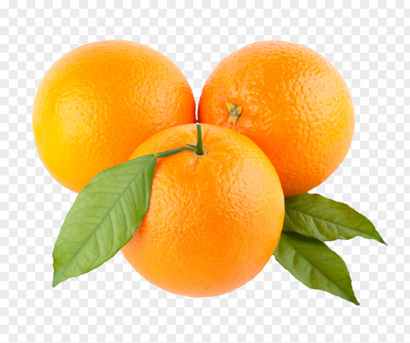 Apricot Orange Download Clip Art PNG