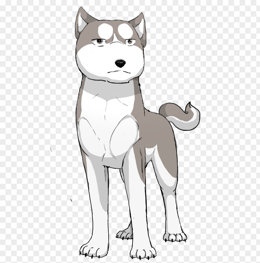 Cat Siberian Husky Whiskers Dog Breed PNG