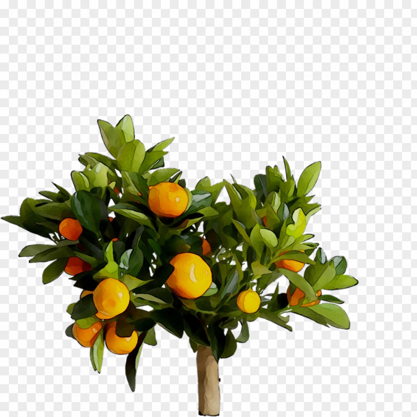 Citrus Artificial Flower IKEA Food PNG