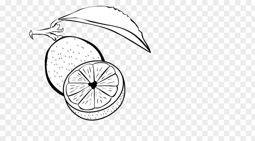 Design Line Art Bicycle Wheels Sketch PNG