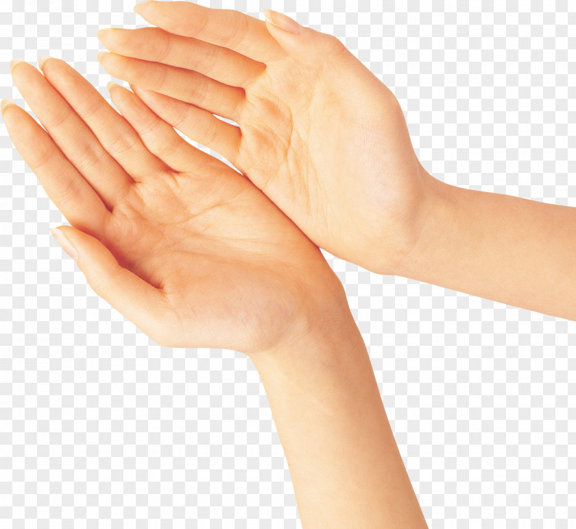 Hand Upper Limb Gesture PNG limb , holding hands clipart PNG