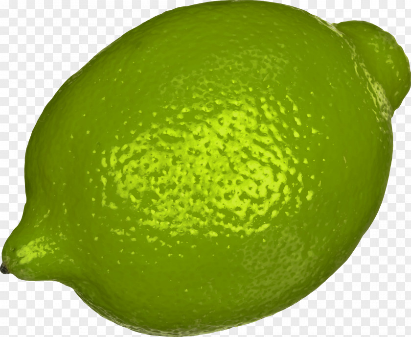Lime Sweet Lemon Key Persian PNG