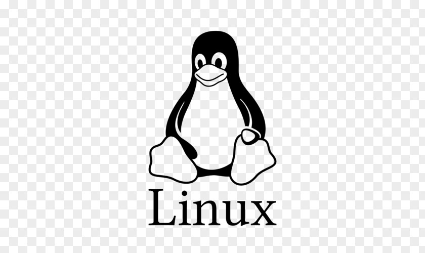 Linux Everything Is A File Computer Software Ubuntu PNG
