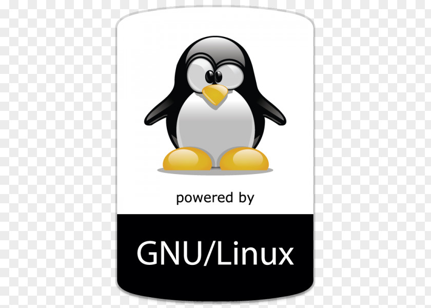 Linux Google Penguin Panda Search Engine Optimization Clip Art PNG