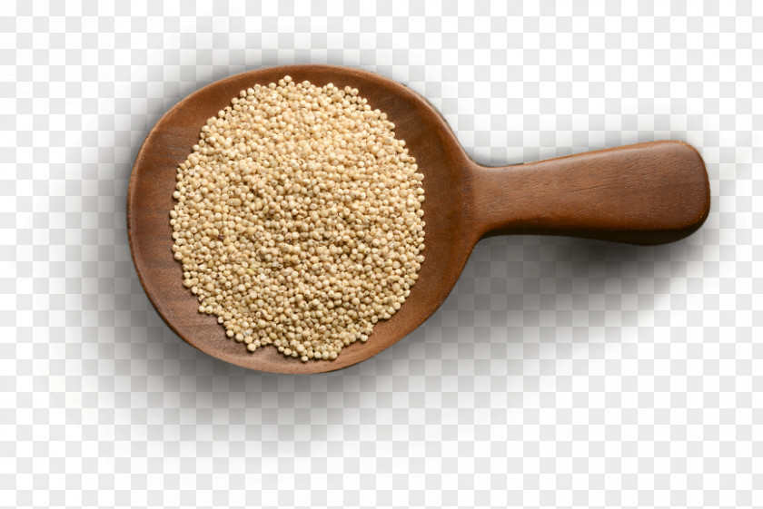 Milo Cereal Millet Grain Ingredient Broom-corn PNG