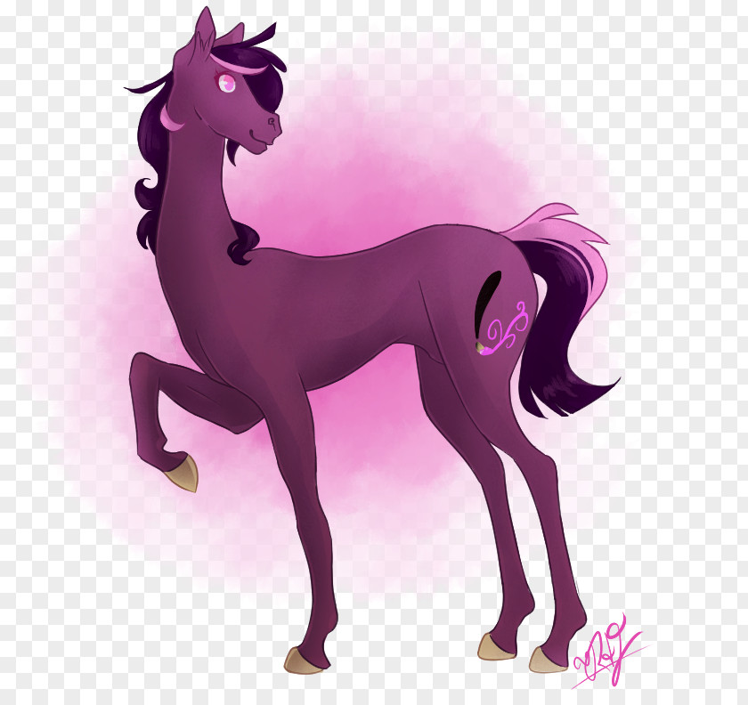 Mustang Mane Foal Pony Art PNG