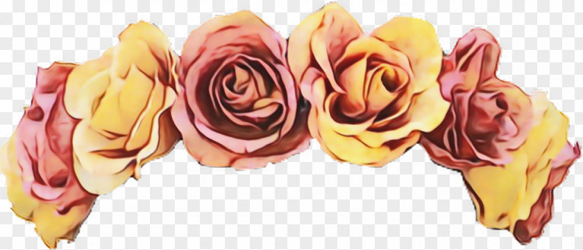 Petal Orange Garden Roses PNG