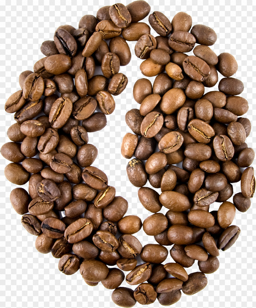 Quality Coffee Beans Robusta Cappuccino Cafe Maragogipe PNG