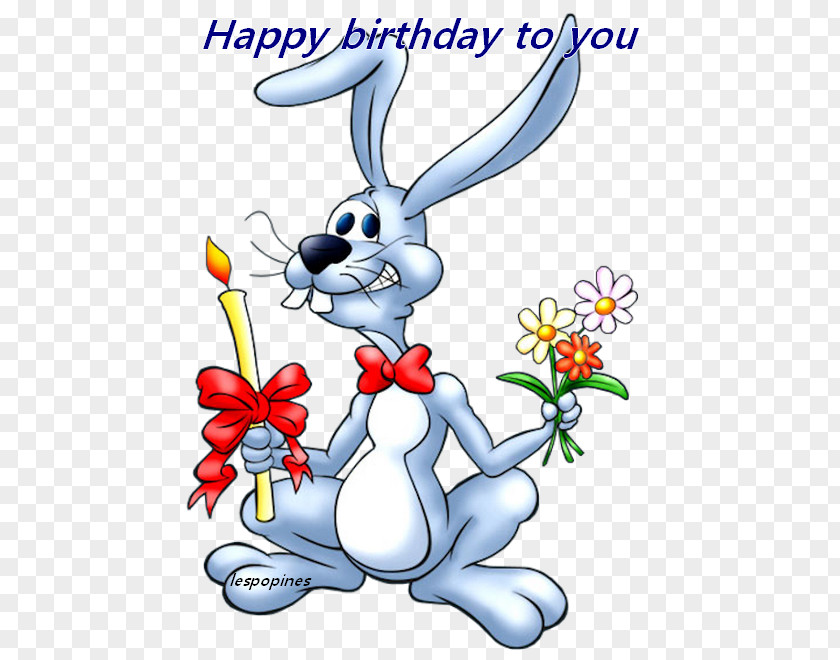 Rabbit Hare Vse Najboljše, Dragi Sin Sibling Birthday PNG