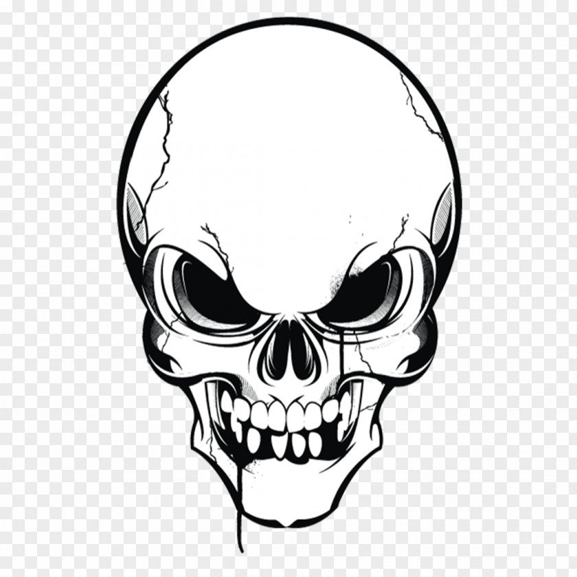 Skull Human Symbolism Drawing Clip Art PNG
