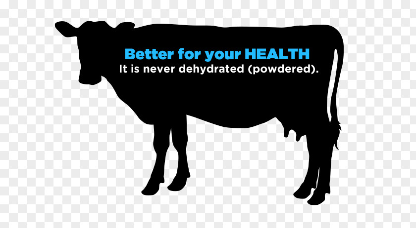 DRINKING MILK Dairy Cattle Ox Taurine Bull Clip Art PNG