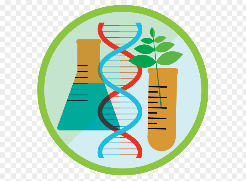 Technology Biotechnology Genetic Engineering Clip Art PNG