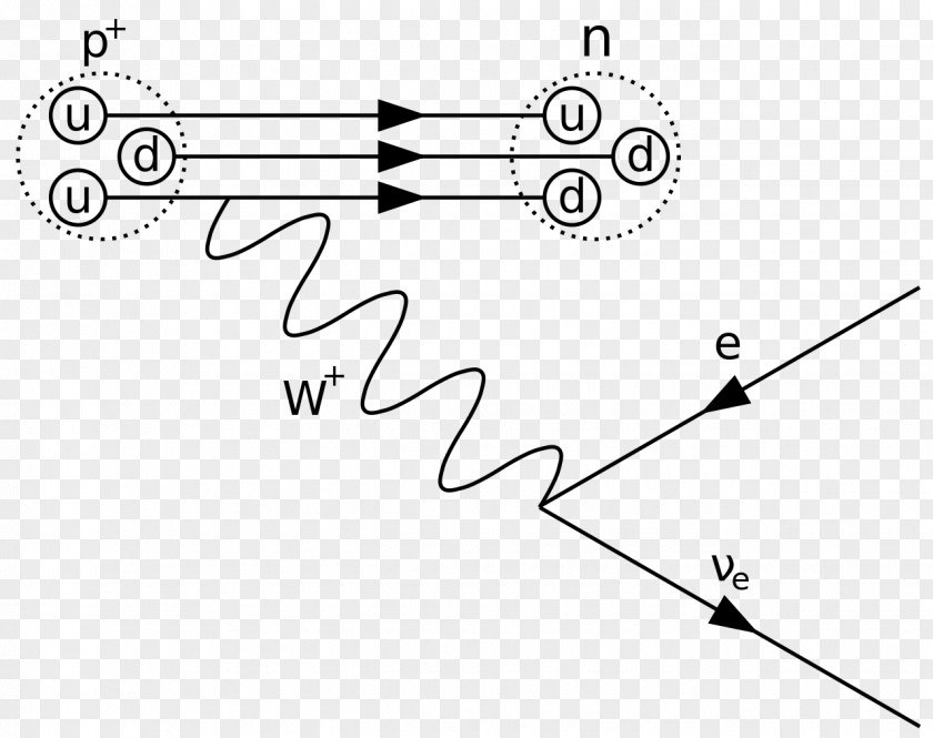 Caries Feynman Diagram Beta Decay Physics Particle PNG