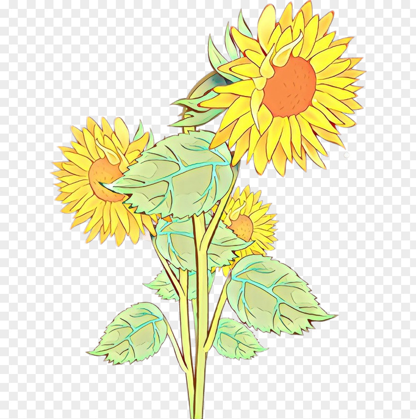 Cut Flowers Dandelion Sunflower PNG