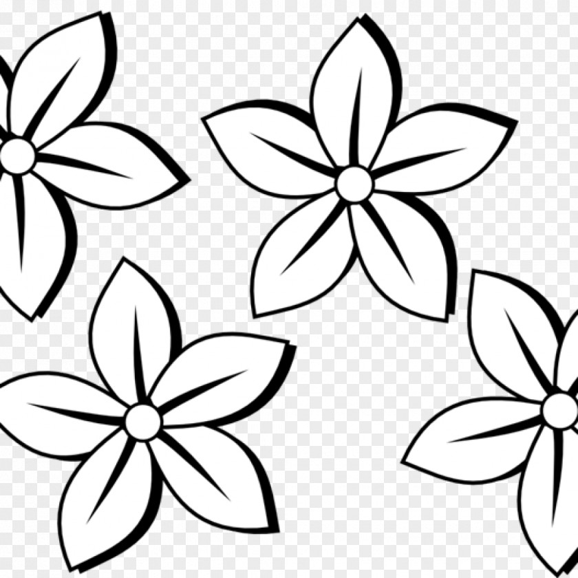 Flower Borders And Frames Line Art Drawing Clip PNG