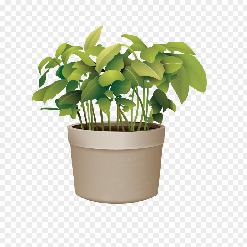 Vector Green Plant Potted Plants Flowerpot PNG
