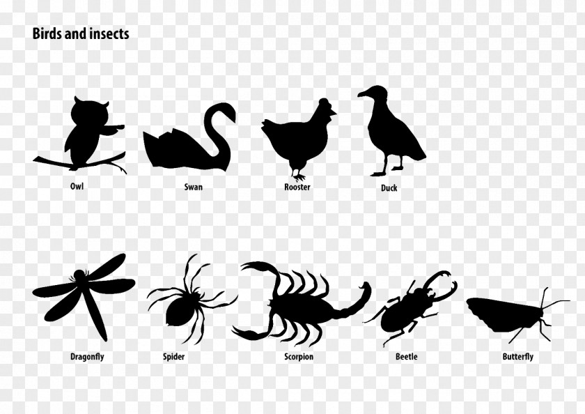 Birds And Insects Rooster Chicken Silhouette Bird Cartoon PNG