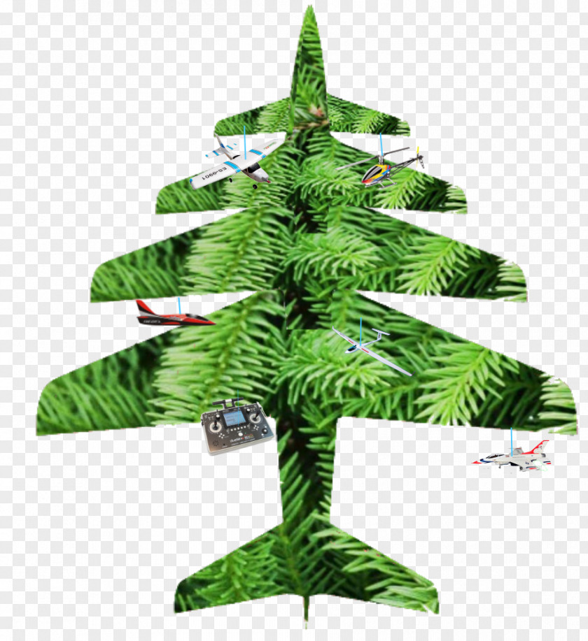 Christmas Tree Fir Ornament Pine Evergreen PNG