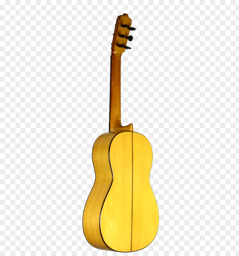 Duran Acoustic Guitar Bass Tiple Cuatro Cavaquinho PNG