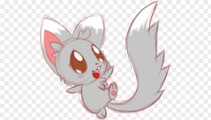 Kitten Whiskers Chinchilla Drawing Pet Shop PNG