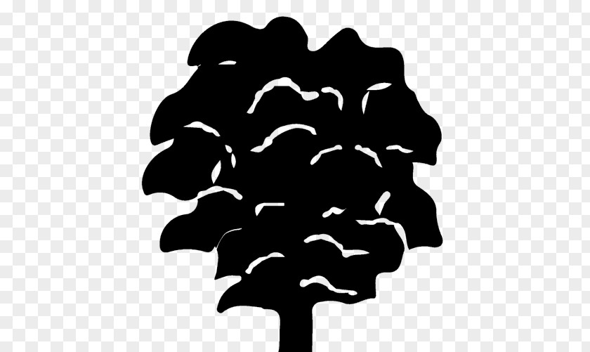 Tree Silhouette White Leaf Font PNG