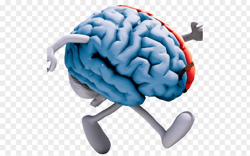 Work Life Balance Exercise Brain Cognitive Training Neuroscience Neuroplasticity PNG