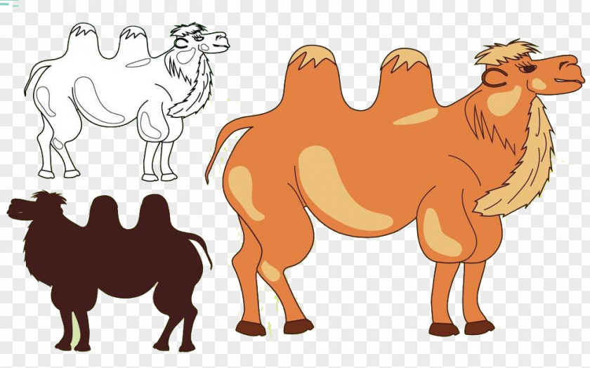 Camel Team Silhouette Illustration PNG