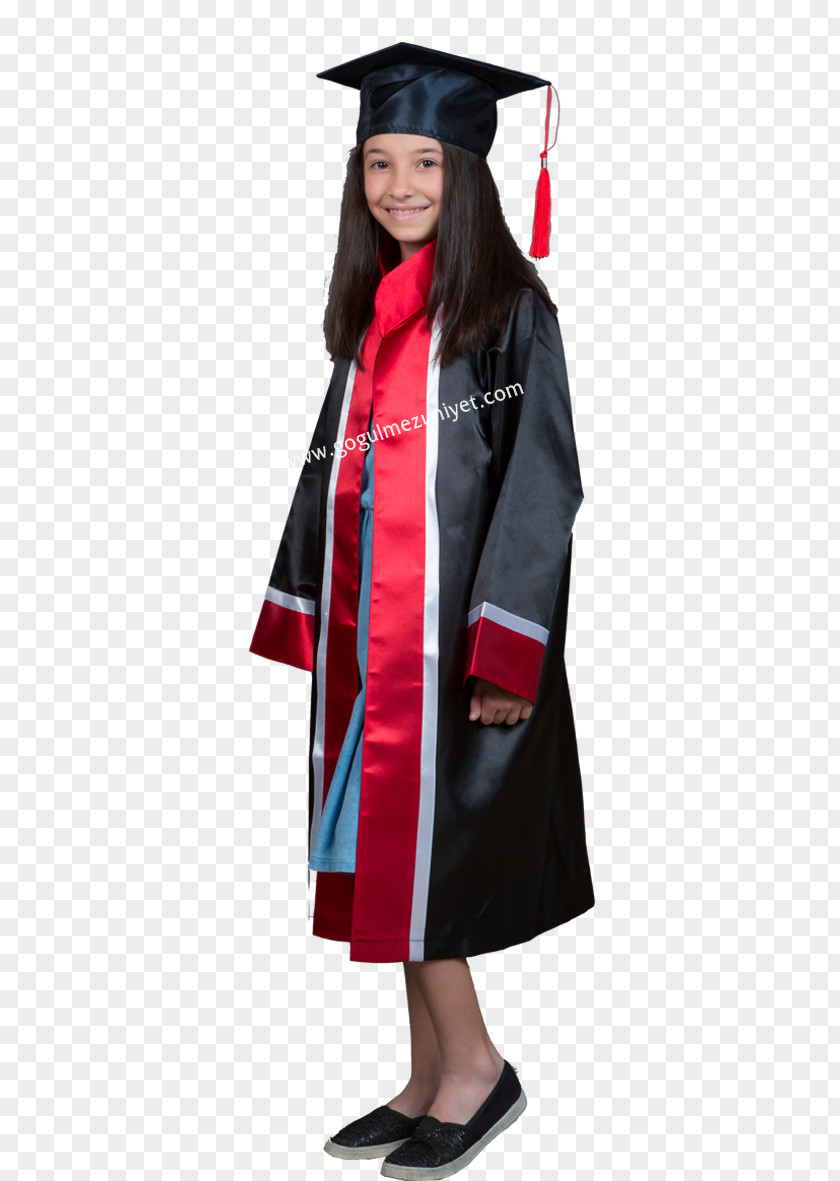 Mezuniyet Robe Graduation Ceremony Academic Dress Diploma Düz PNG
