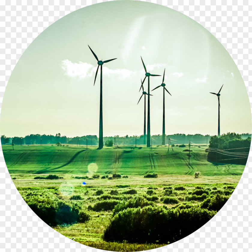 Natural Environment Wind Farm Renewable Energy Sustainability Business PNG