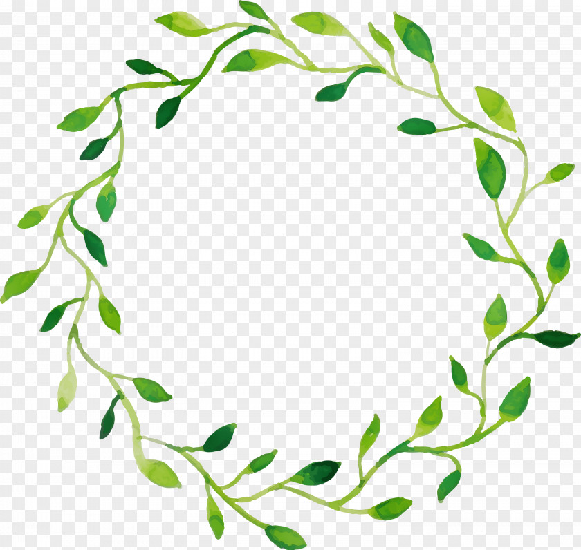 Twig Plant Stem Leaf Green Meter PNG