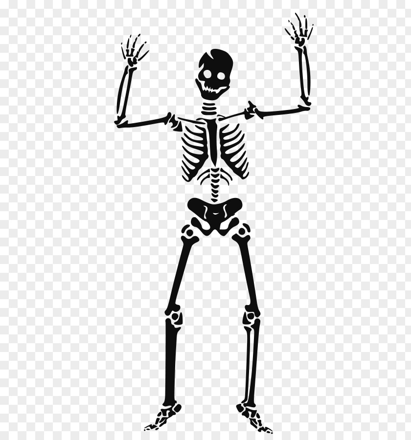 Halloween Line Art Human Skeleton Skull Clip PNG