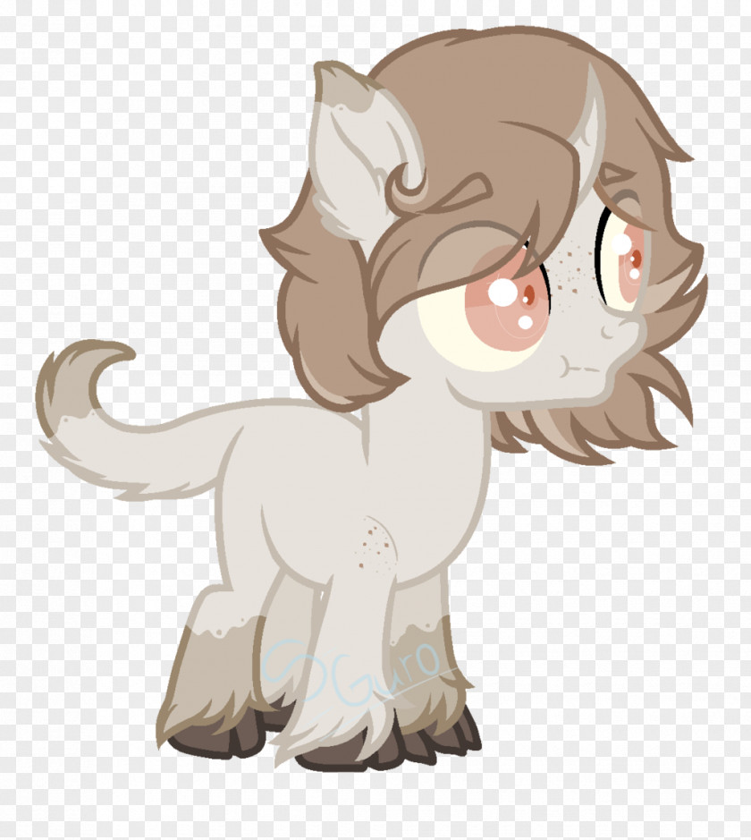 Kitten Whiskers Cat Horse Paw PNG
