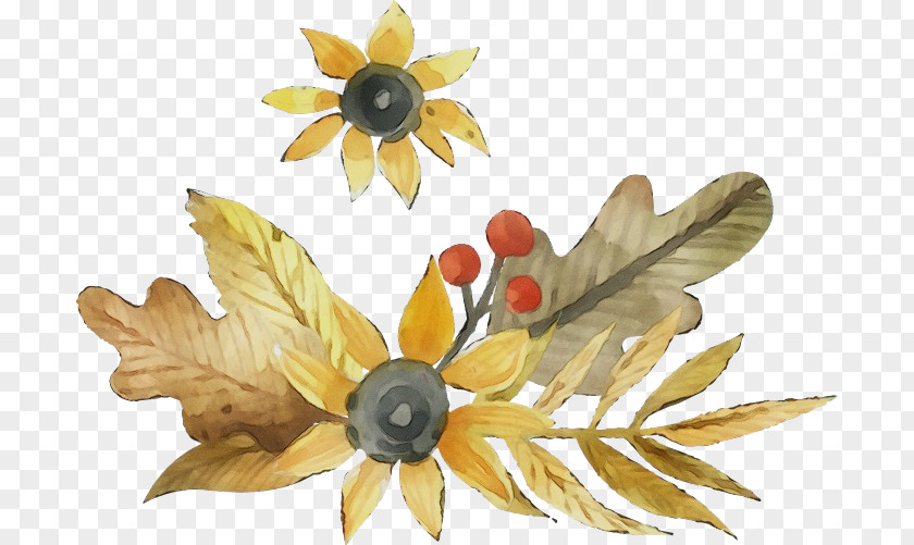 Sunflower Wildflower Watercolor Flower Background PNG