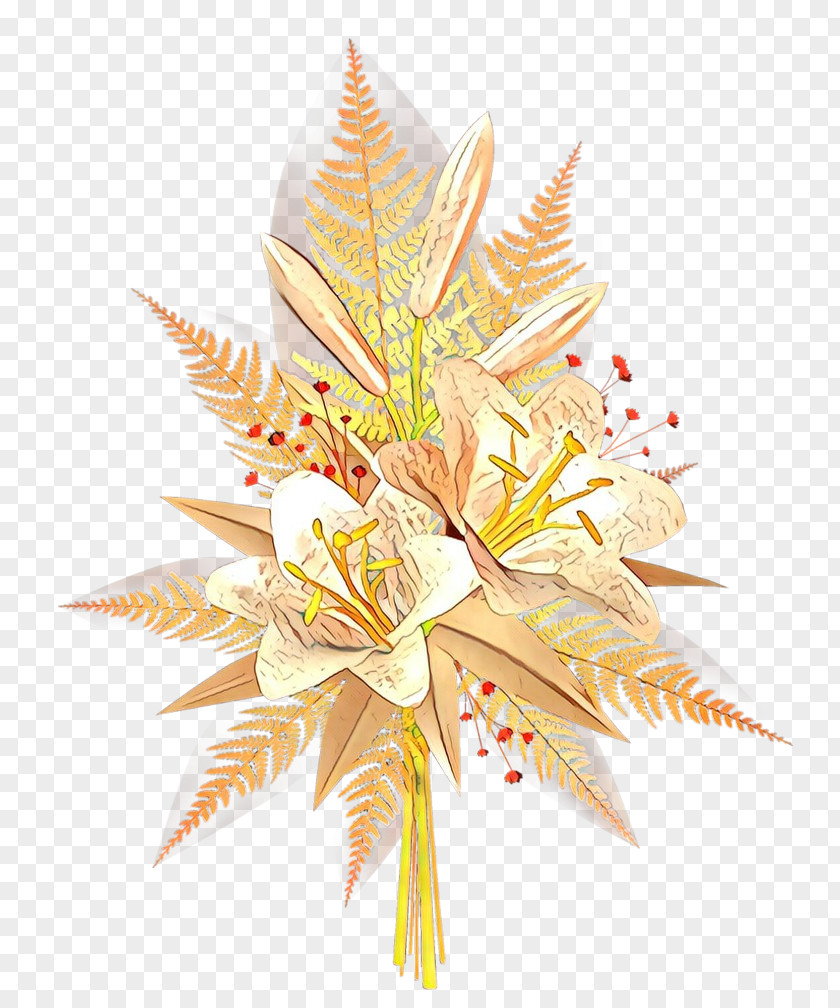 Anthurium Plant Flower PNG