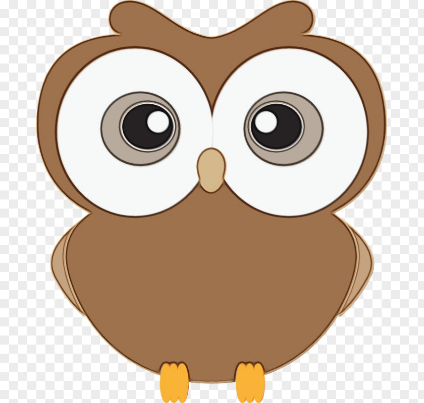 Eastern Screech Owl Bird Of Prey Cartoon Clip Art PNG