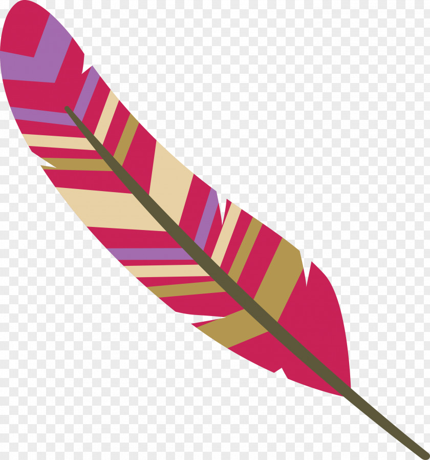 Feather PNG