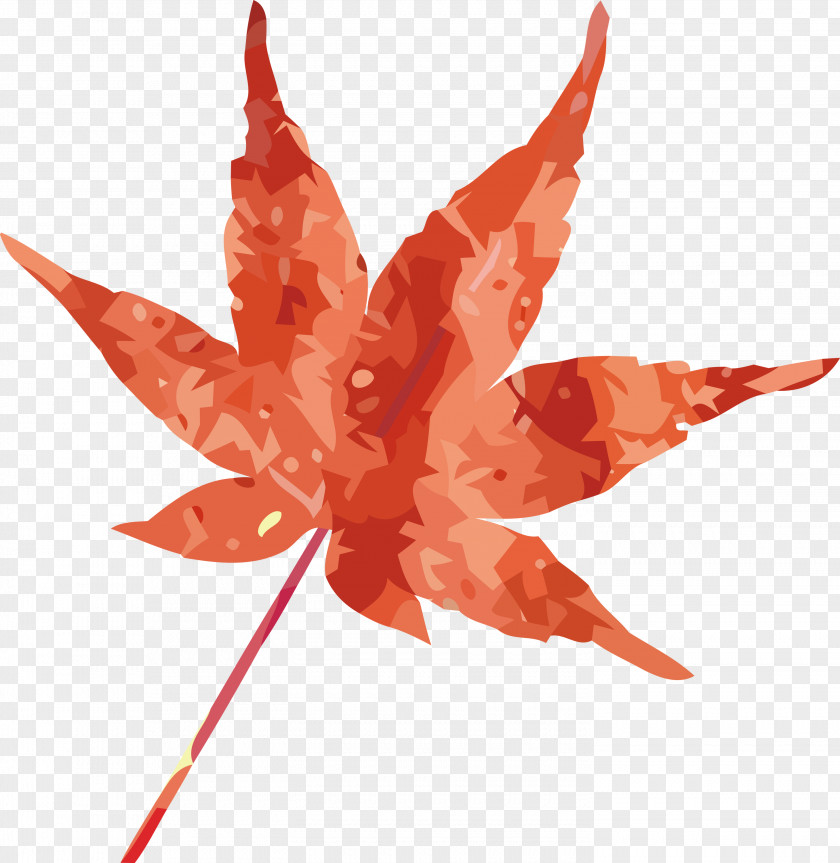 Maple Leaf PNG