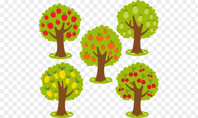 Tree Fruit Royalty-free Stock Photography PNG