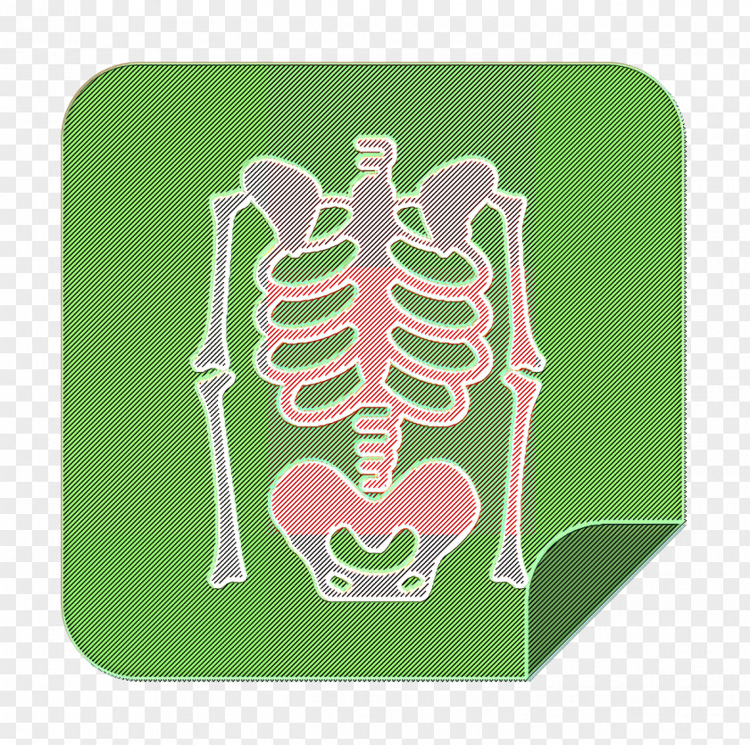 X Rays Icon Medical Elements Skeleton PNG