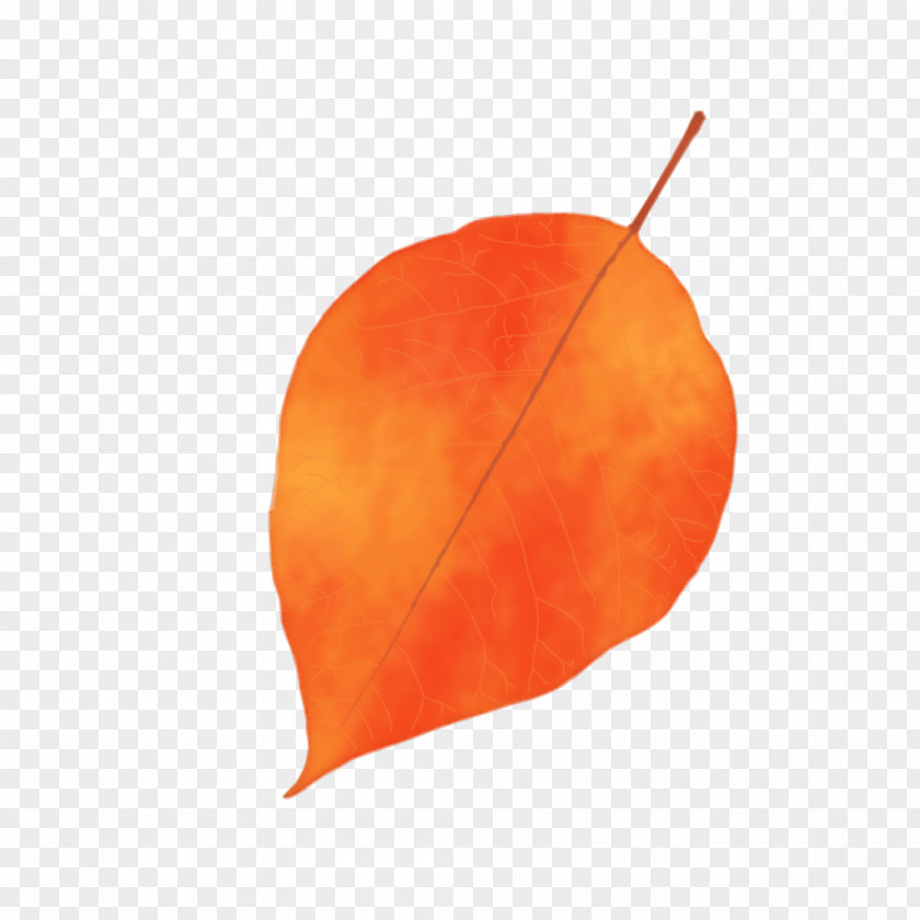 Autumn Leaves Fruit Leaf Peach PNG