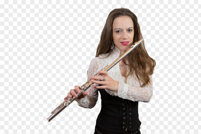 Bibi Western Concert Flute Sachsendorfer Oberschule Microphone Band PNG