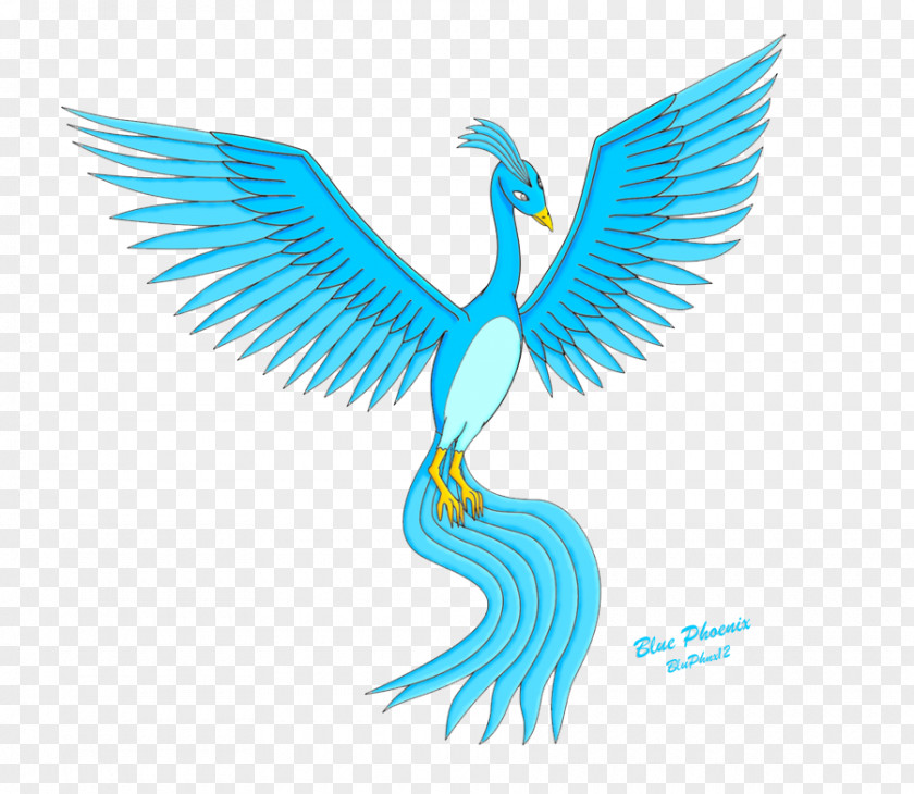 Blue Phoenix Image Bird PNG